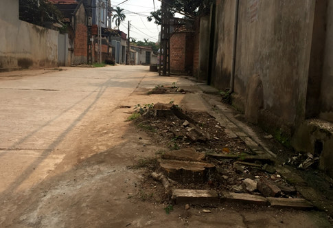 Hà[-]Nội:[-]Cả[-]trăm[-]cây[-]xanh[-]bị[-]chặt[-]hạ[-]sau[-]đợt[-]ra[-]quân[-]"đòi"[-]vỉa[-]hè